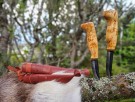 Elg 22 cm og Rådyr 19 cm.  thumbnail