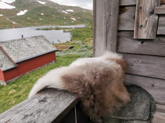 Bryllupsgave tibetansk lammeskinn med personlig gravering.